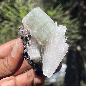 Green apophyllite cube with scolecite spray