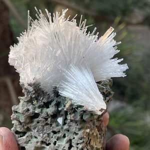 Scolecite crystals on matrix