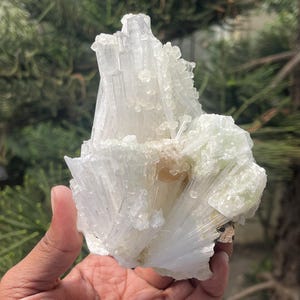 Op de afbeelding: Een cluster van witte selenietkristallen met een groene en bruine accent. De kristallen zijn in een waaier vorm gerangschikt en hebben een natuurlijke, ruwe textuur.