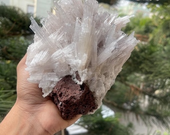 May include: A cluster of white selenite crystals on a dark brown volcanic rock.