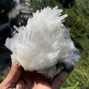 Scolecite with green apophyllite on matrix