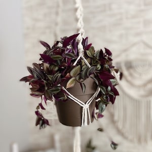 Macrame Plant Hanger // Macrame Pot Holder