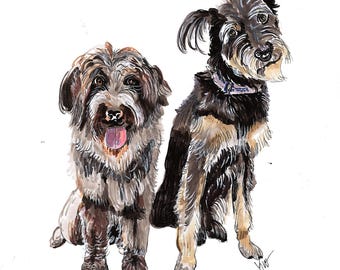 Lucy and Kai    Lucy is a Wirehair Pointing Griffon, Kai is a mix, two have real character, pleasure to draw.  Featured on 8 X 10 Print
