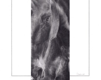 Original drawing - horse drawing - unique - pencil - A4