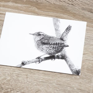 Wren postcard A6 image 5