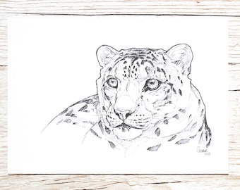 Snow leopard - original drawing - A5 - unique piece