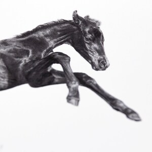 Horse drawing art print pencil A4 image 3