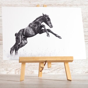 Horse drawing art print pencil A4 image 4