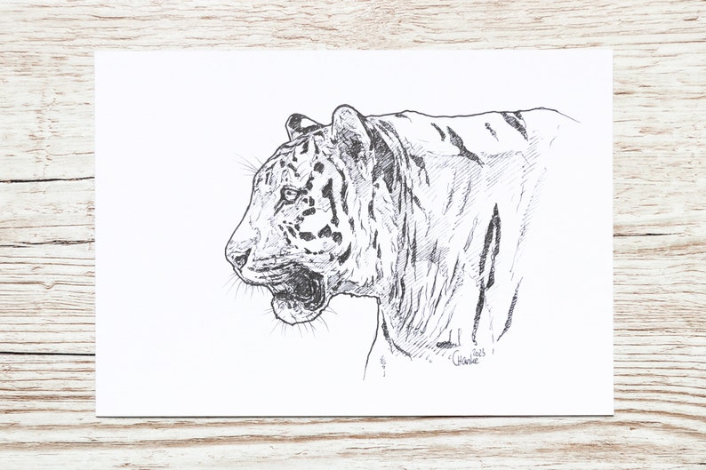 Tiger  original drawing  A5  unique piece image 1