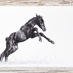 Horse drawing art print pencil A4 image 1