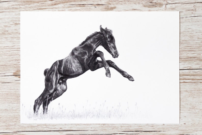 Horse drawing art print pencil A4 image 1