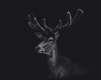 Red deer - original drawing - A3 - unique piece