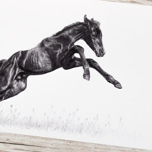 Horse drawing art print pencil A4 image 5