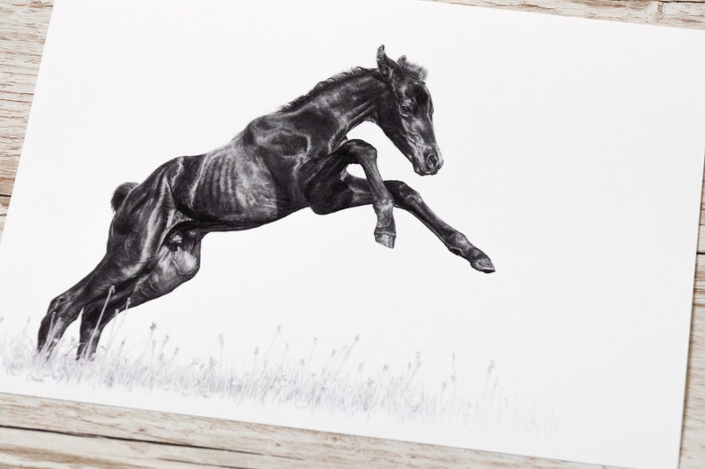 Horse drawing art print pencil A4 image 5