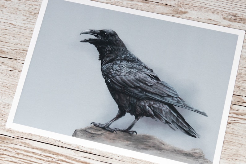 Common Raven Art Print A4 FineArt Print image 2