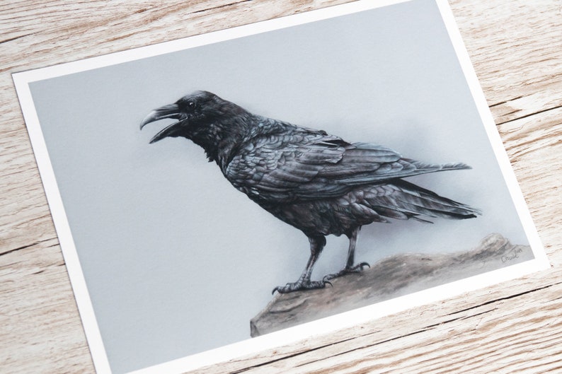 Common Raven Art Print A4 FineArt Print image 1