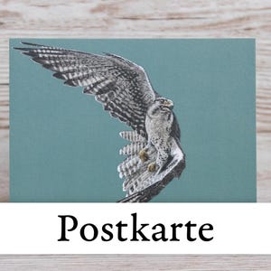 Könnte beinhalten: Eine Postkarte mit einer detaillierten Illustration eines Greifvogels mit ausgebreiteten Flügeln vor einem türkisblauen Hintergrund. Das Wort "Postkarte" ist unten auf der Karte in Schwarz gedruckt.