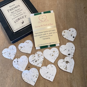 Friendship gift of wild flower seeded hearts, Gifts for friends, Plantable seed paper, Bee Friendly Seed bomb, Friendship