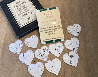 Friendship gift of wild flower seeded hearts, Gifts for friends, Plantable seed paper, Bee Friendly Seed bomb, Friendship