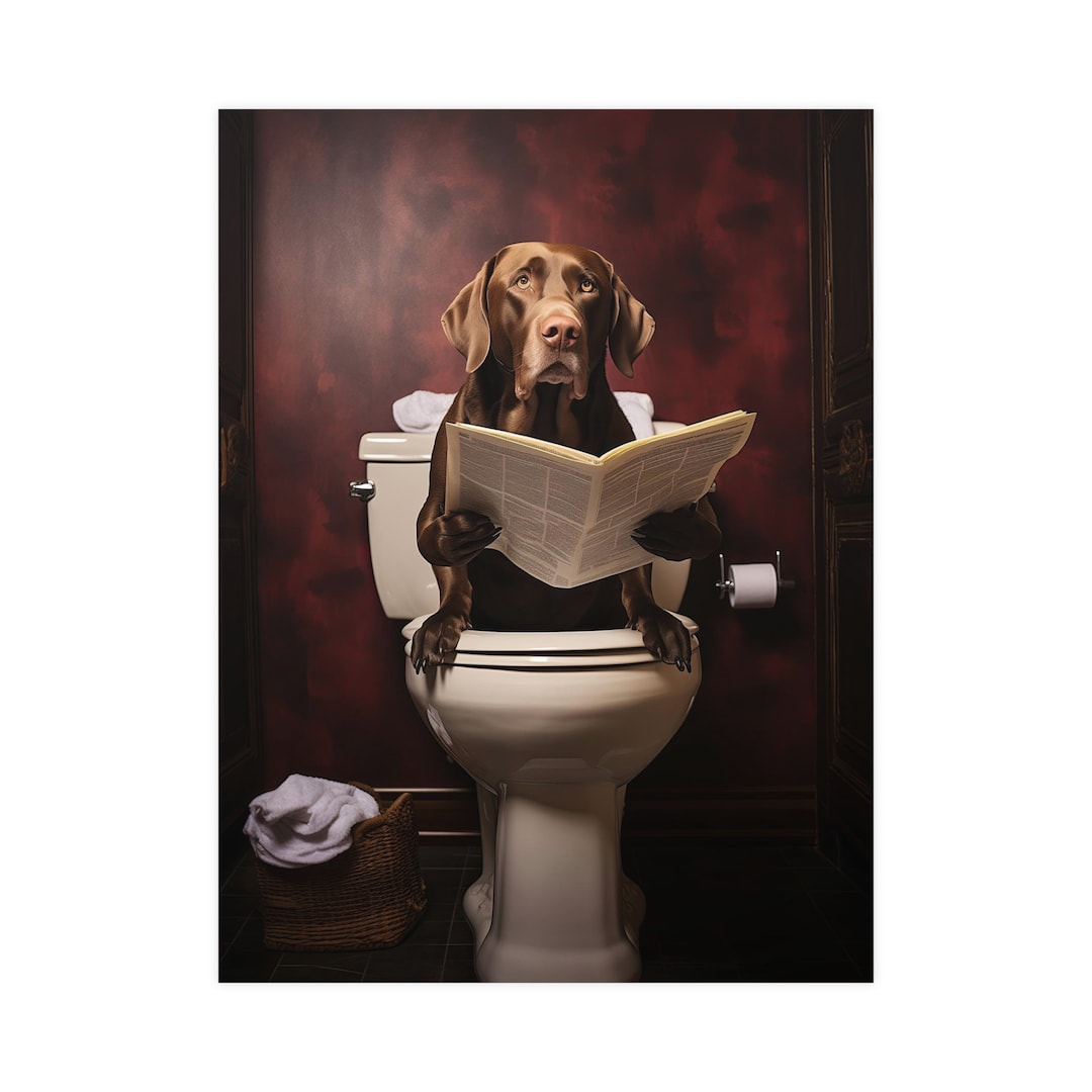 Labrador Retriever, Reading Newspaper, Toilet, Dogs, Chocolate, Lab