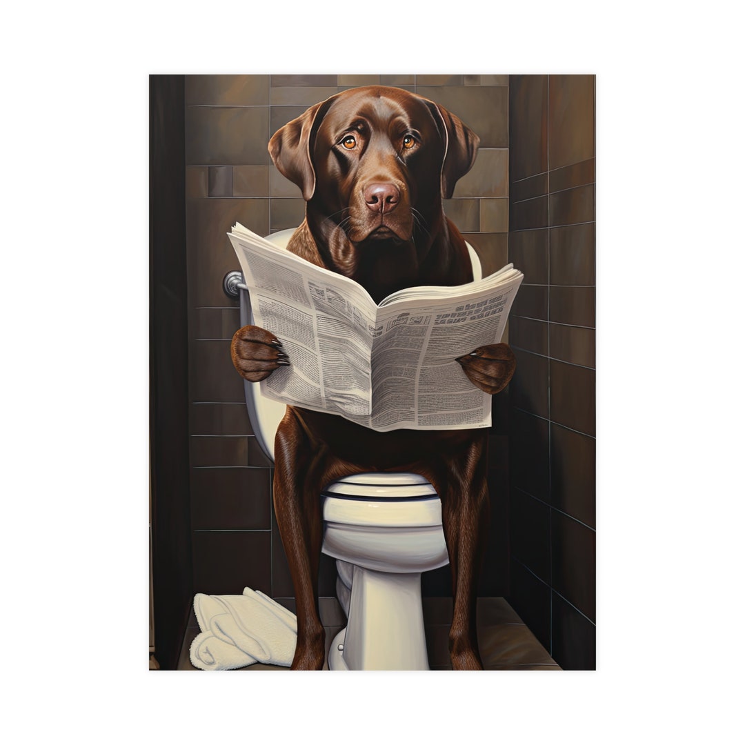 Labrador Retriever, Reading Newspaper, Toilet, Dogs, Bathroom, Cute ...