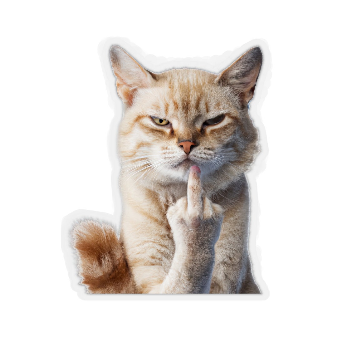 Middle finger cat sticker rude mean funny kitty cat lover etsy