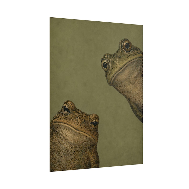 Art mural deux grenouilles curieuses, affiche grenouille vintage, impression animal drôle, décoration nature maussade, cadeau original pour amateur de grenouille image 2
