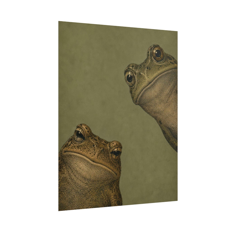 Art mural deux grenouilles curieuses, affiche grenouille vintage, impression animal drôle, décoration nature maussade, cadeau original pour amateur de grenouille image 4