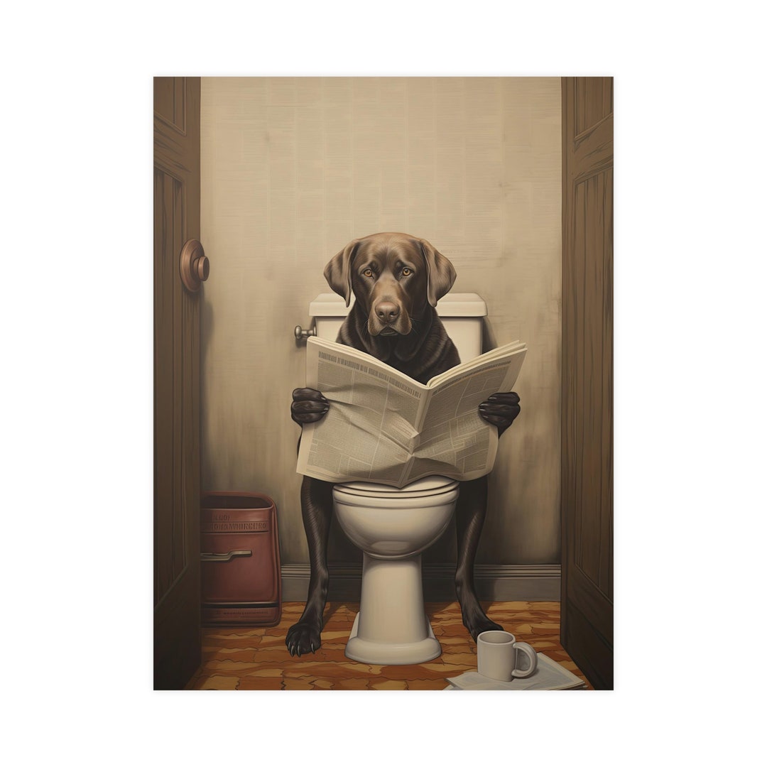 Labrador Retriever, Reading Newspaper, Toilet, Dogs, Chocolate, Lab ...