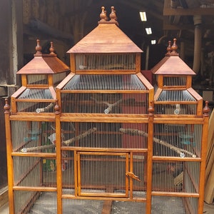 Custom large parakeet cage, 3 roofed, flight cage