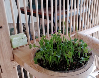 Puede incluir: Una jaula de pájaros de madera con una pequeña maceta de plantas verdes que crecen en su interior. La jaula está hecha de finas lamas de madera y tiene un estante en la parte superior. La maceta está colocada en un pequeño estante de madera fijado al lado de la jaula.