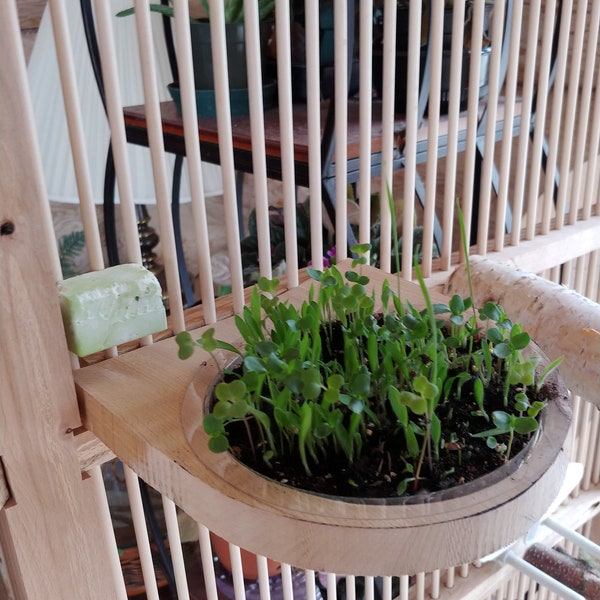 Handmade Parakeet greens planter kit