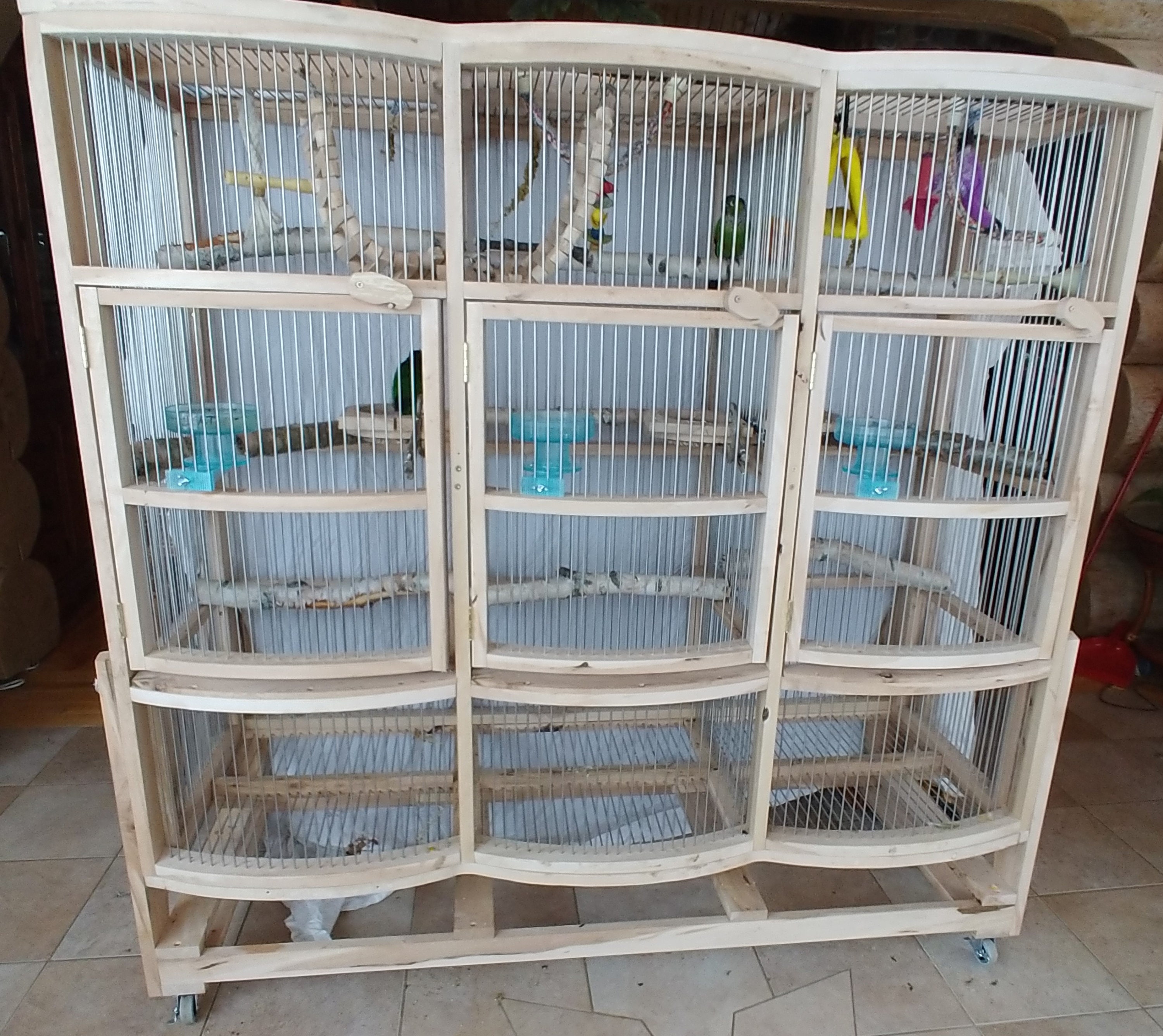 Handmade Parakeet/Finch Cage, 3 Section Hardwood & Stainless Bar With Round Front