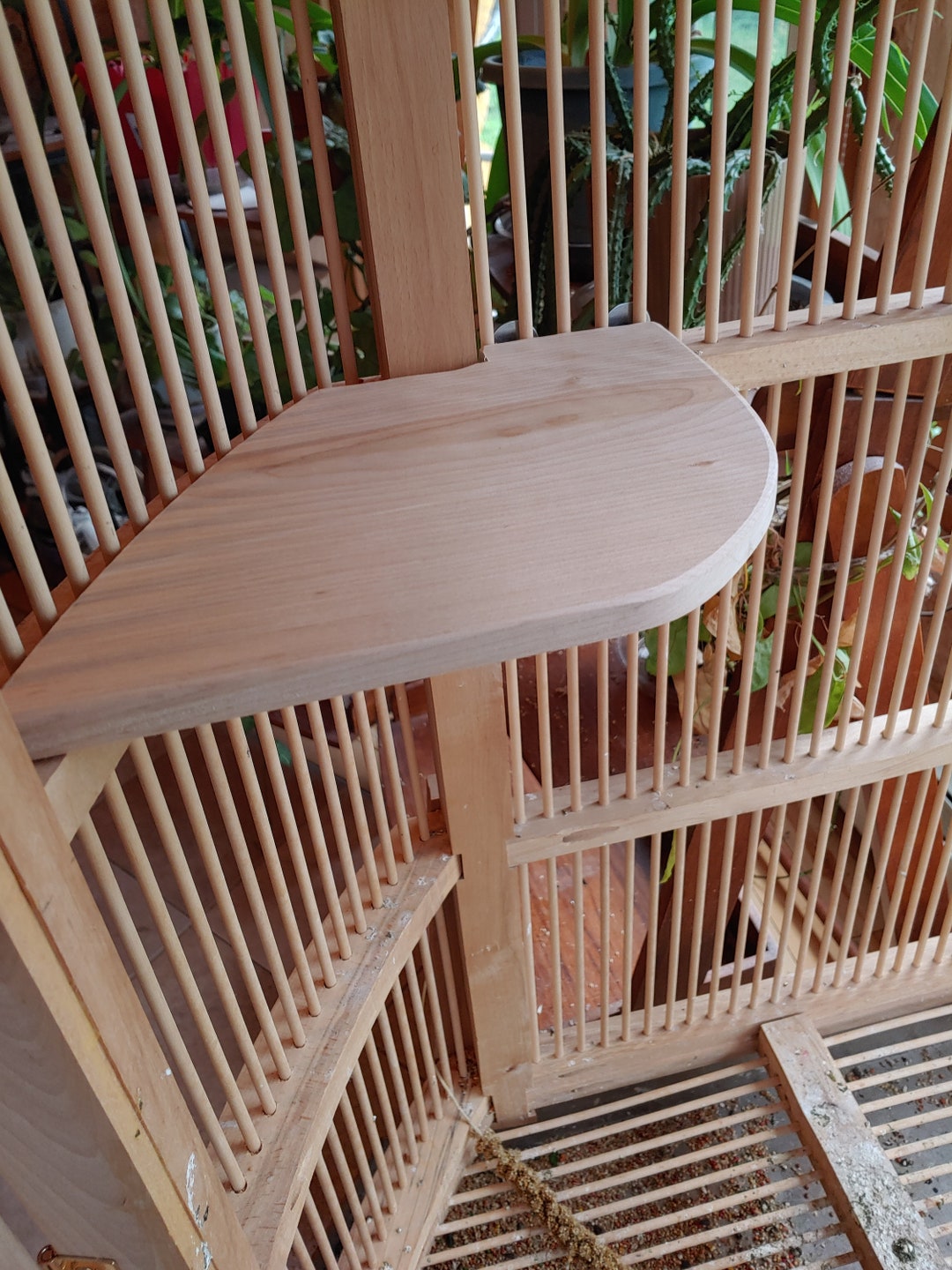 Parakeet Small Bird Cage Shelf for MB Round Front Cage Etsy