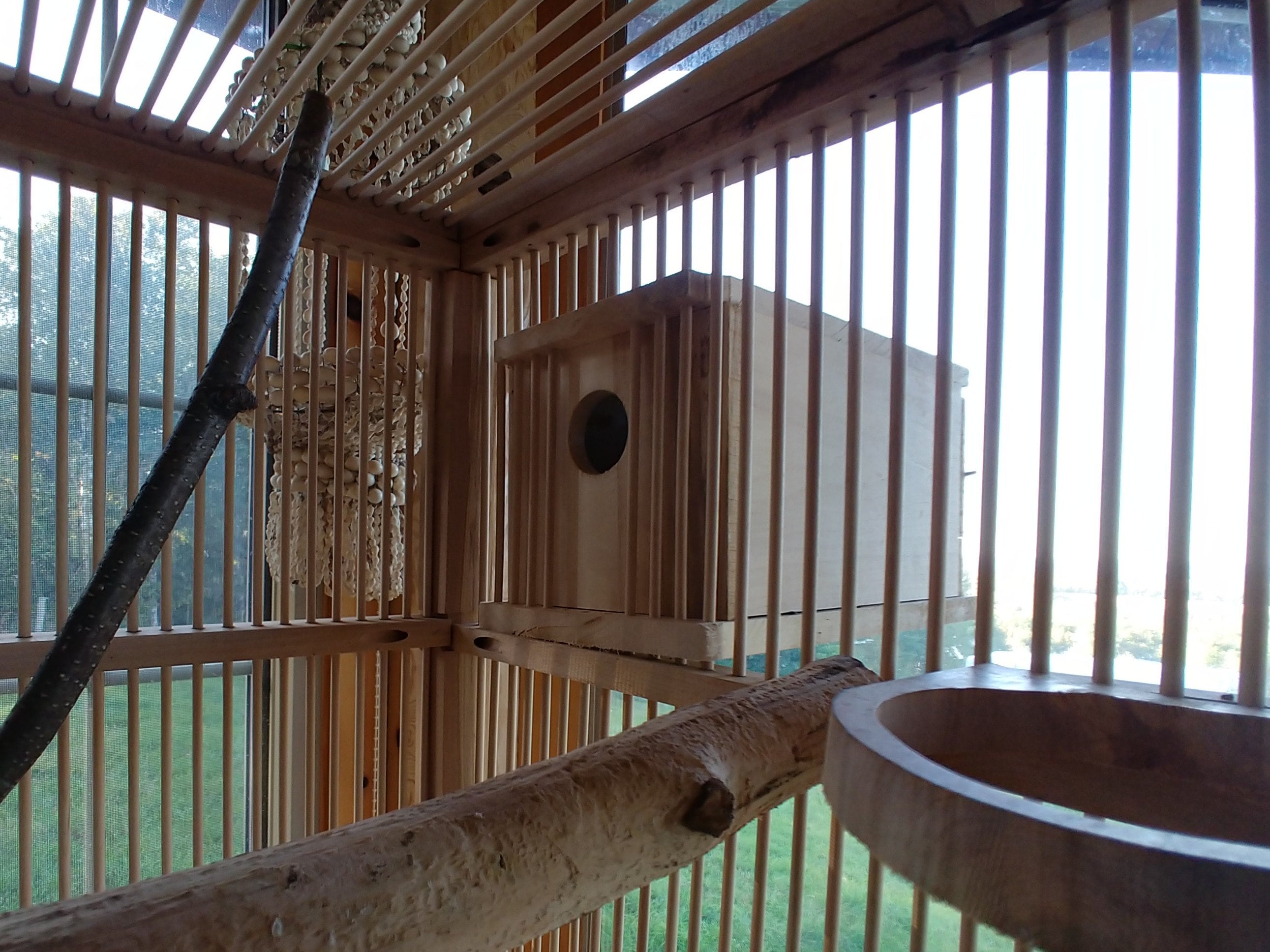 Parakeet Nest Box Etsy