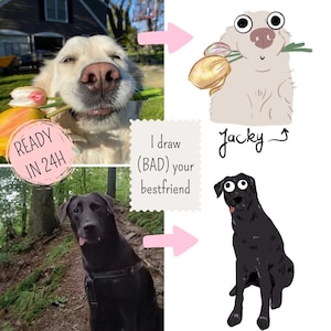 Funny Animal Drawings : Bad Portraits Turned into Cute Pet Gifts, animal portrait, gift idea, for him, for her, custom gift, fun