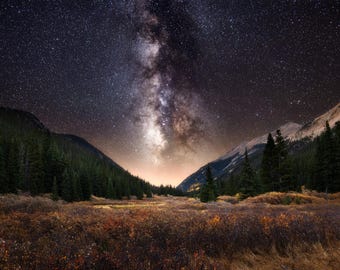Peut inclure: Un ciel nocturne rempli d'étoiles et la Voie lactée, visible au-dessus d'une chaîne de montagnes sombres avec une forêt d'arbres à feuilles persistantes au premier plan.