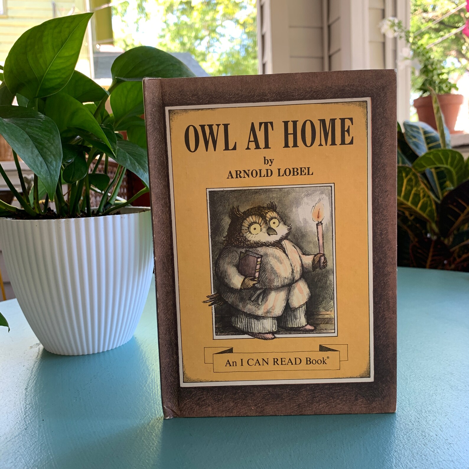 Owl At Home by Arnold Lobel An I Can Read Book Vintage Etsy