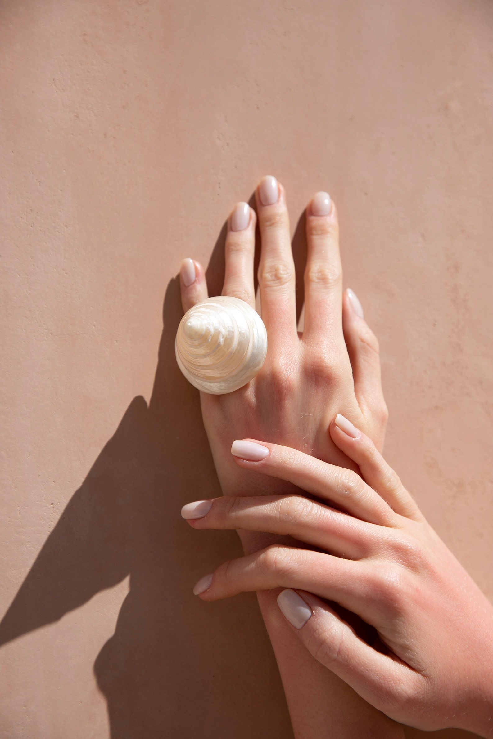 Seashell Ring Real Seashell Ring Extra Large Shell Ring Etsy