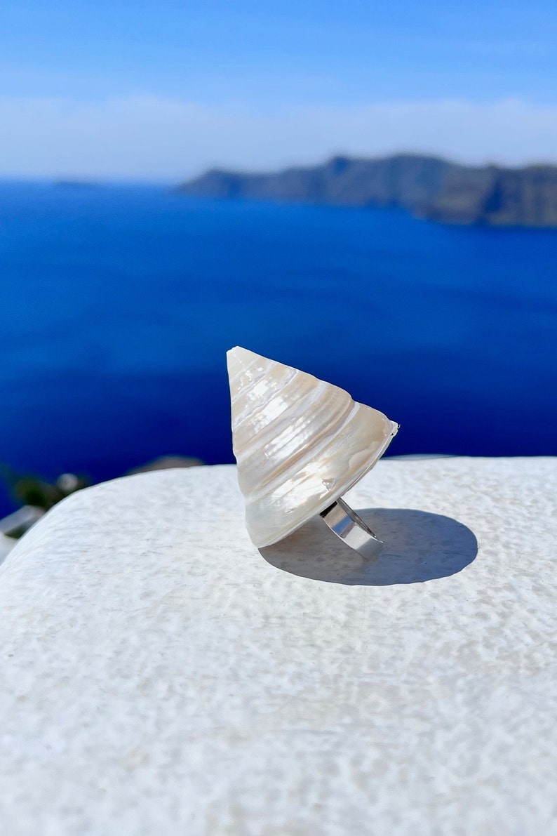 Seashell Ring Real Seashell Ring Extra Large Shell Ring Etsy