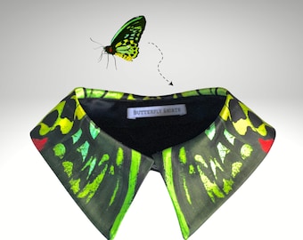 Avant garde clothing- Collar necklace- Green butterfly,--Detachable collar- day collar-Butterfly necklace - Statement collar- Butterfly