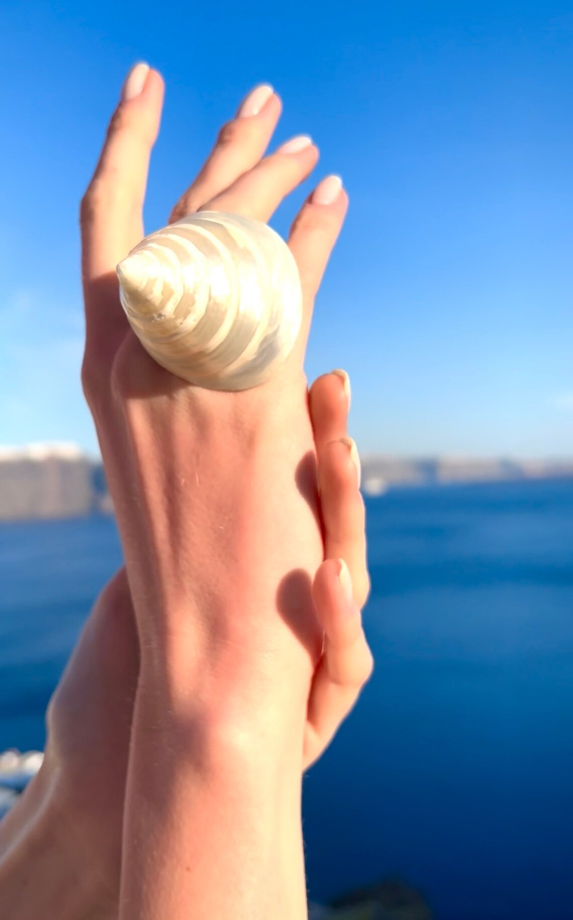 Seashell Ring Real Seashell Ring Extra Large Shell Ring Etsy