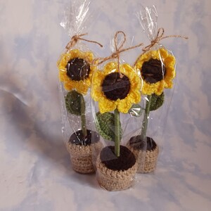 Könnte beinhalten: Drei gehäkelte Sonnenblumen in kleinen Töpfen, verpackt in durchsichtigem Zellophan. Die Sonnenblumen haben gelbe Blütenblätter, braune Zentren und grüne Stiele und Blätter. Die Töpfe bestehen aus einem gewebten Material und sind mit brauner Erde gefüllt.
