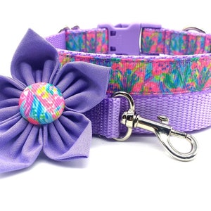 May include: A purple dog collar with a pink and blue floral pattern and a matching purple flower with a pink and blue button. The collar has a silver clasp.