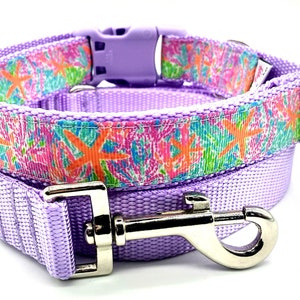 Dog Collar/Palm Beach Inspired/Preppy Adjustable Dog Collar