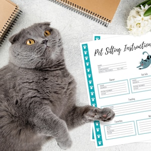 Cat Care Planner [27 Pages] - PDF Printable - Cat Care Sheets, Cat Vaccination Records, Cat Care Information and More