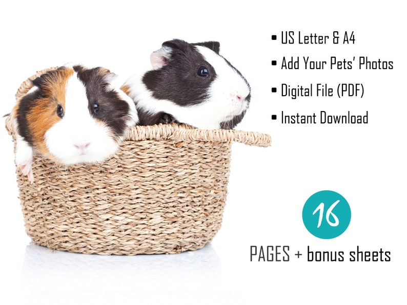 Guinea Pig Care Planner - PDF Printable - Guinea Pig Care Sheets ...