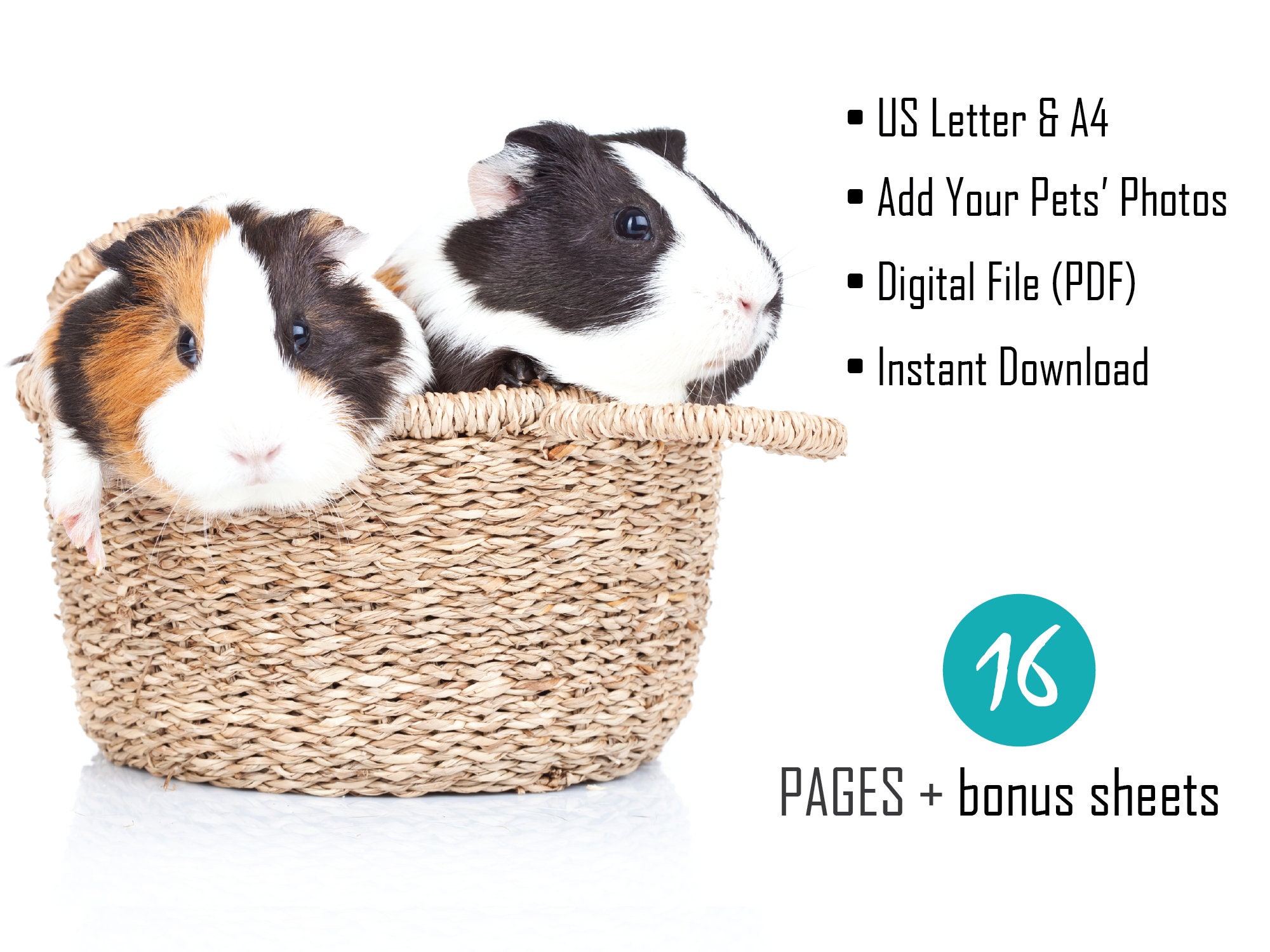 Guinea Pig Care Planner - PDF Printable - Guinea Pig Care Sheets ...