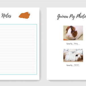 Guinea Pig Care Planner - PDF Printable - Guinea Pig Care Sheets ...