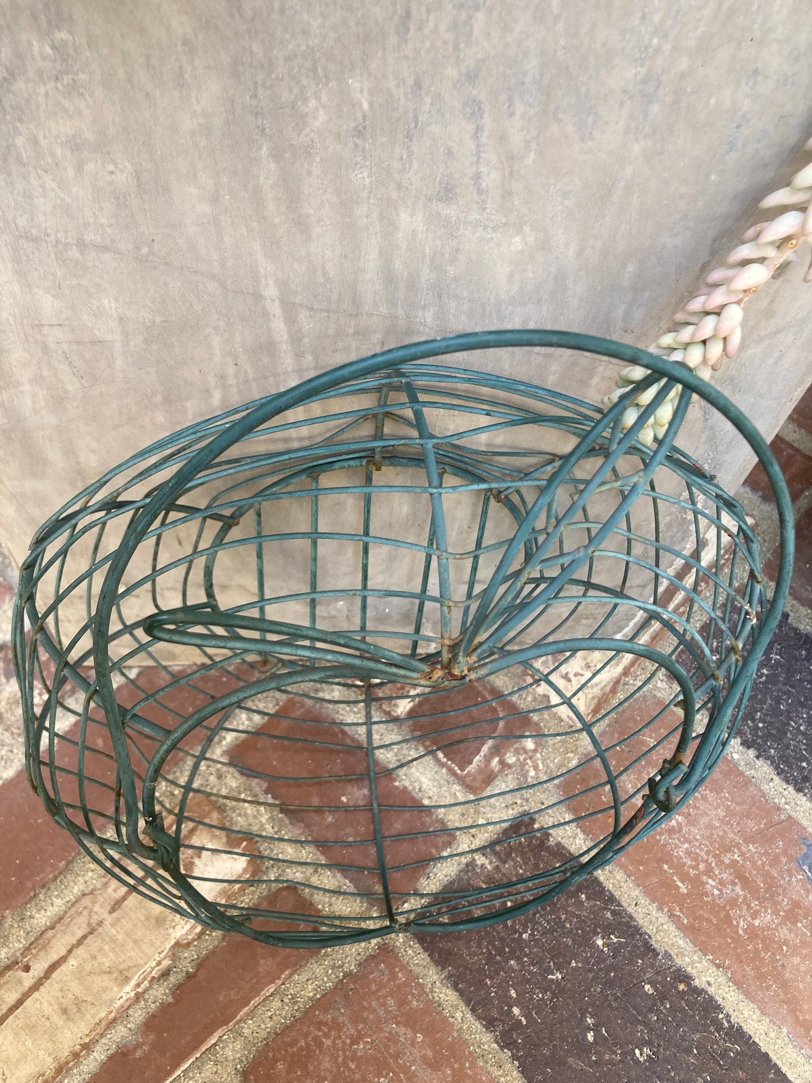 Metal Wire Egg Basket Etsy